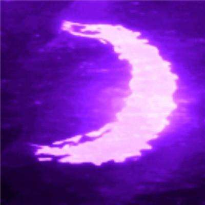 开元ky888网址进入2024入口