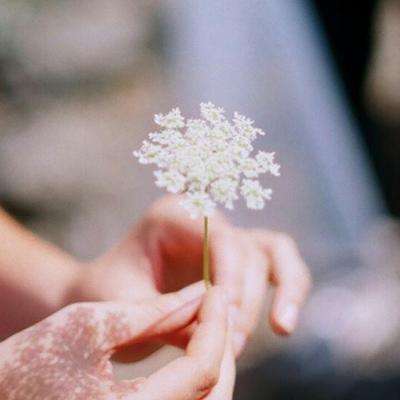 利发app手机登陆