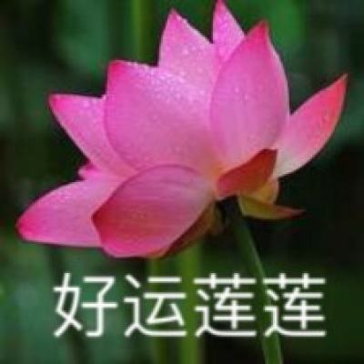 BB贝博平台登录app下载